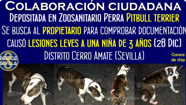 Cartel en el que se pide la colaboración ciudadana