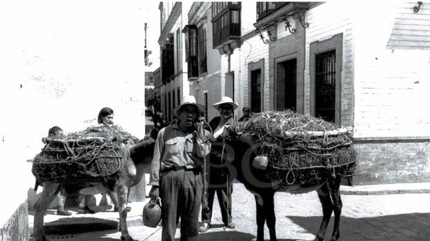 El botijero en Sevilla