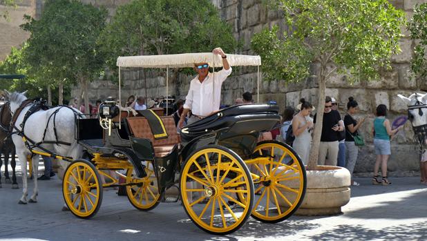 La fila de coches de caballos y la cola de turistas, separadas por los macetones de los Reales Alcázares