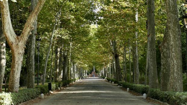 Parque de María Luisa