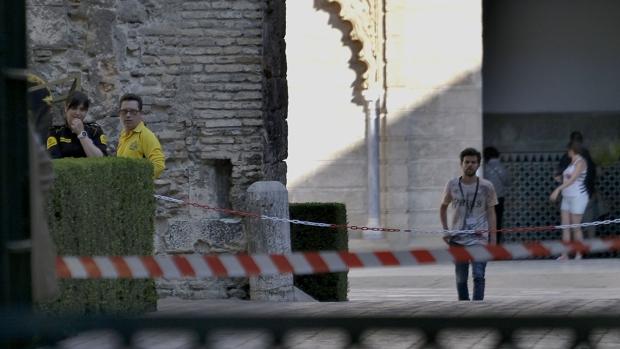 Zona en la que cayó la rama sobre ocho personas, unas horas después del accidente