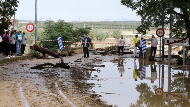 Inundaciones en la localidad sevillana de El Rubio
