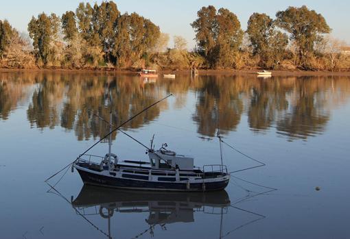 Coria del Río, Sevilla