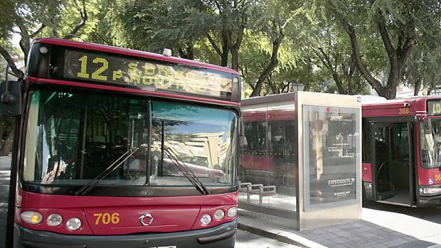 Autobuses de Tussam en parada de regulación en la Plaza Ponce de León