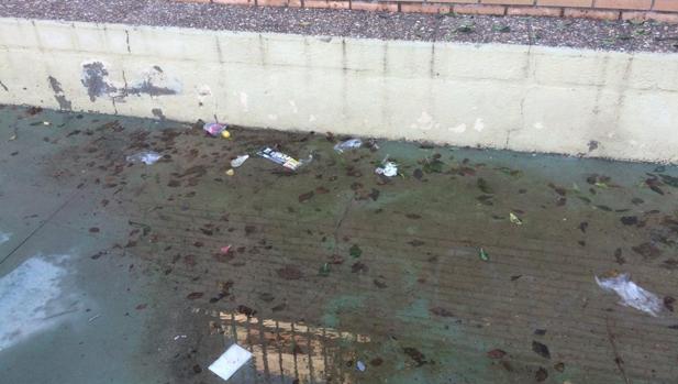 Suciedad en un centro escolar de Sevilla