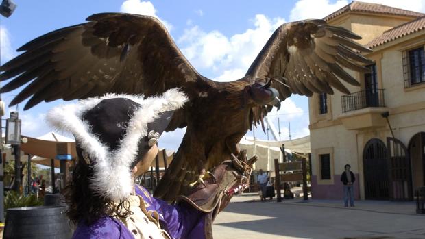 El águila imperial seguirá en el espectáculo