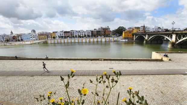 Vista del puente de Triana desde el Paseo de Colón con la calle Betis al fondo