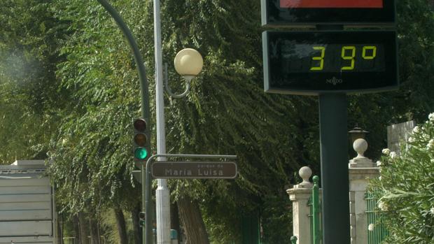 Un termómetro marca 39 grados al lado del parque de María Luisa