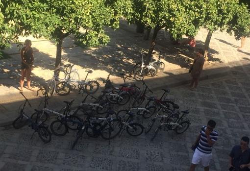Bicicletas tiradas en el suelo en el Patio de Banderas ABC