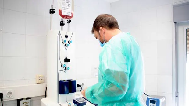 Um pesquisador durante o tratamento de linfócitos nos laboratórios do Hospital Virgen del Rocío