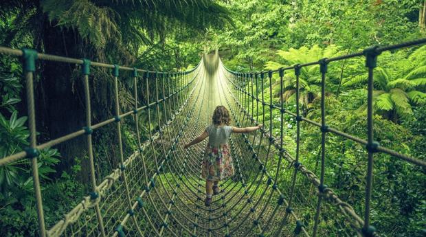 Puente colgante de «The Lost Gardens of Heligan»