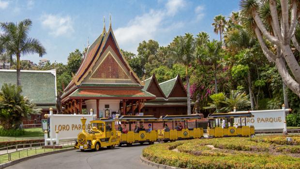 Un tren traslada gratis a los visitantes desde Puerto de la Cruz a Loro Parque