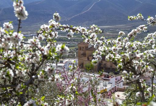 Laujar de Andarax, considerado como la capital de la Alpujarra almeriense.